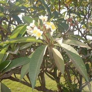 Meet your Posher, Bekind